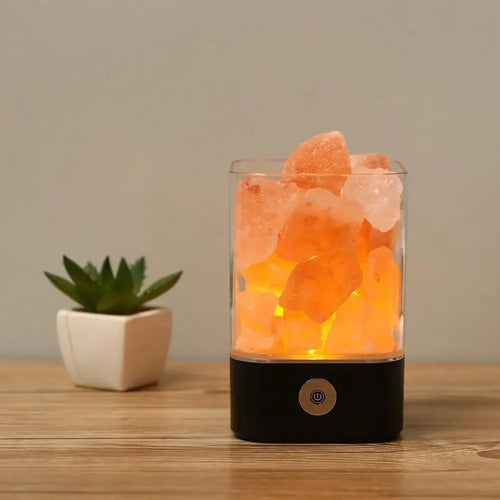Lampe Sel de l'Himalaya
